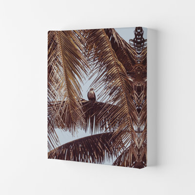 Eagle by Victoria Frost - Print