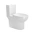 Toilette allongée une pièce à chasse double 1,1 / 1,6 GPF avec siège confortable de 16,5 po de hauteur ((siège à fermeture en douceur inclus))