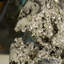 Pyrite péruvienne