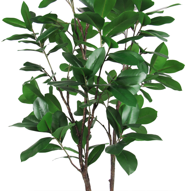Artificial Magnolia Leaf Tree in Pot, 48" H x 25" W x 25" D