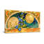 Motif de mode ornemental à motif floral céleste-1633754047