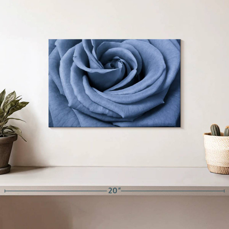 Rose bleue Harnek en gros plan, H 8 po x l 12 po