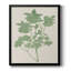 Toile encadrée de qualité supérieure Vintage Garden I - prête à être accrochée-166345395-166345394