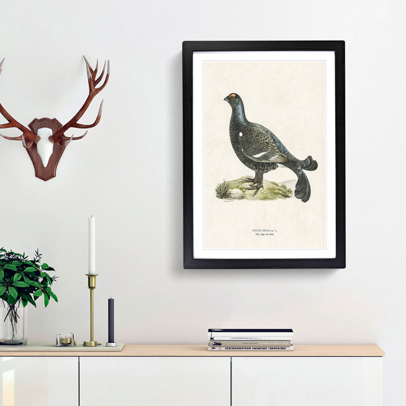 Black Grouse by Von Wright - Picture Frame Painting Print, Black Framed, 65cm H x 48cm W x 2cm D