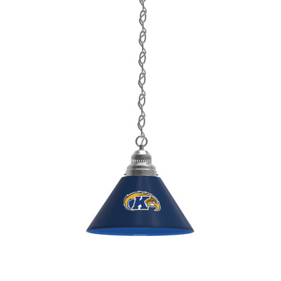 1 - Light Single Pendant