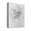 Tulipe, croquis - impression sur toile tendue-766062067