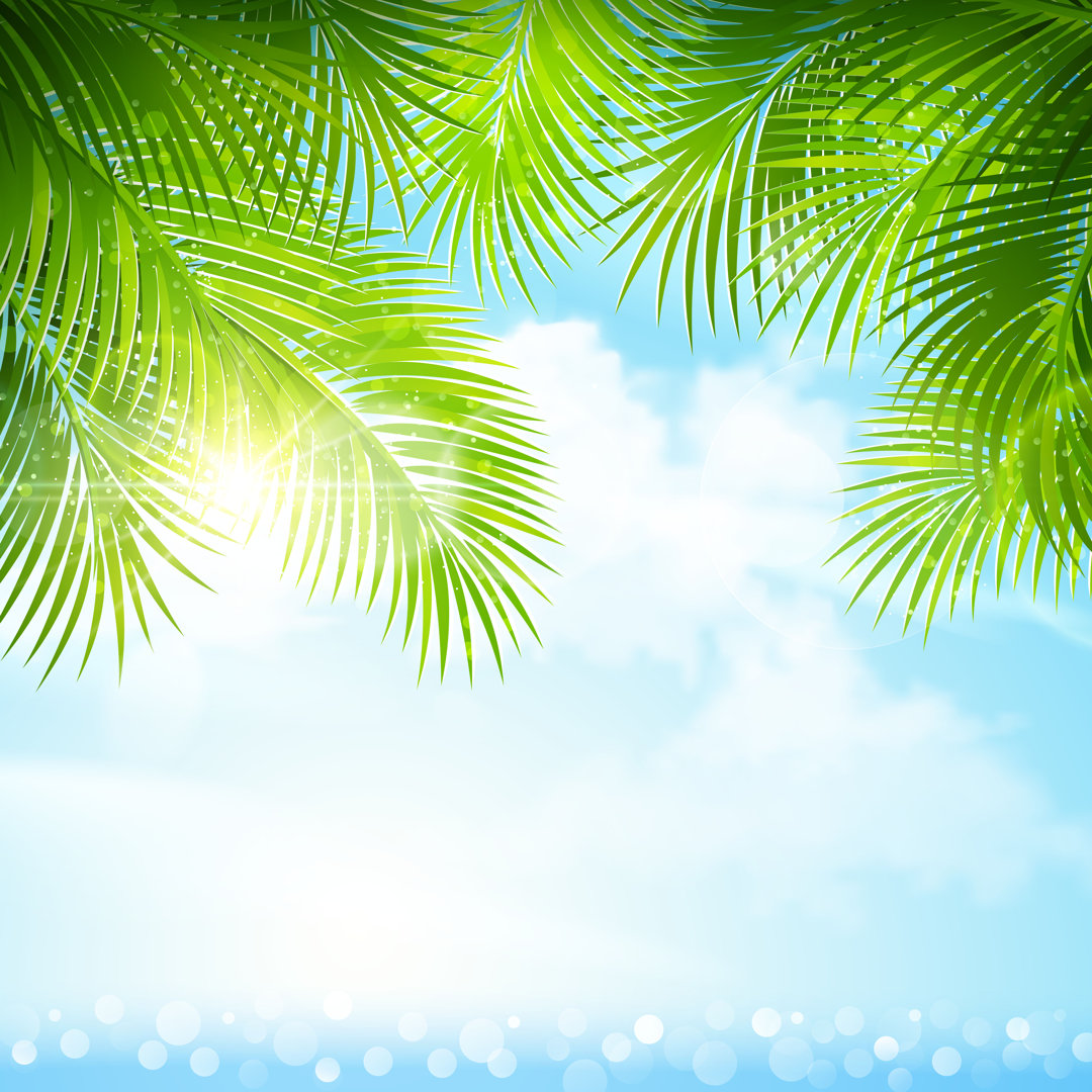 Palm Leaves With Sunlight by Baks - Wrapped Canvas Print