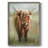 Happy Highlander Framed Print - Solid Wood-1244150532