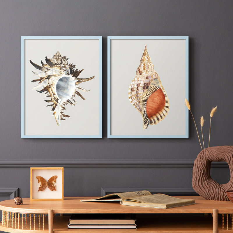Black Murex-Premium Framed Print -Ready to Hang - No Nails Required - No Nails Required, Blue, 11" H x 18" W