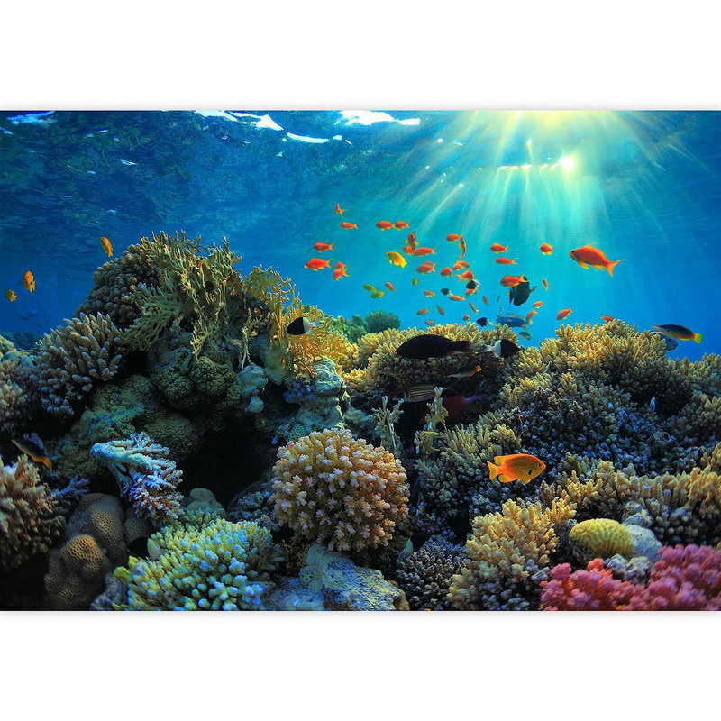 Nautical Ocean Peel & Stick Animal Print Border, 100" L x 144" W