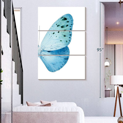 Brampt Miss Butterfly Euploea X-Ray