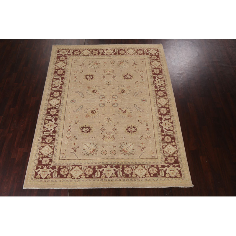Tapis oriental à motif de teinture végétale Chobi Peshawar noué à la main 8 x 10
