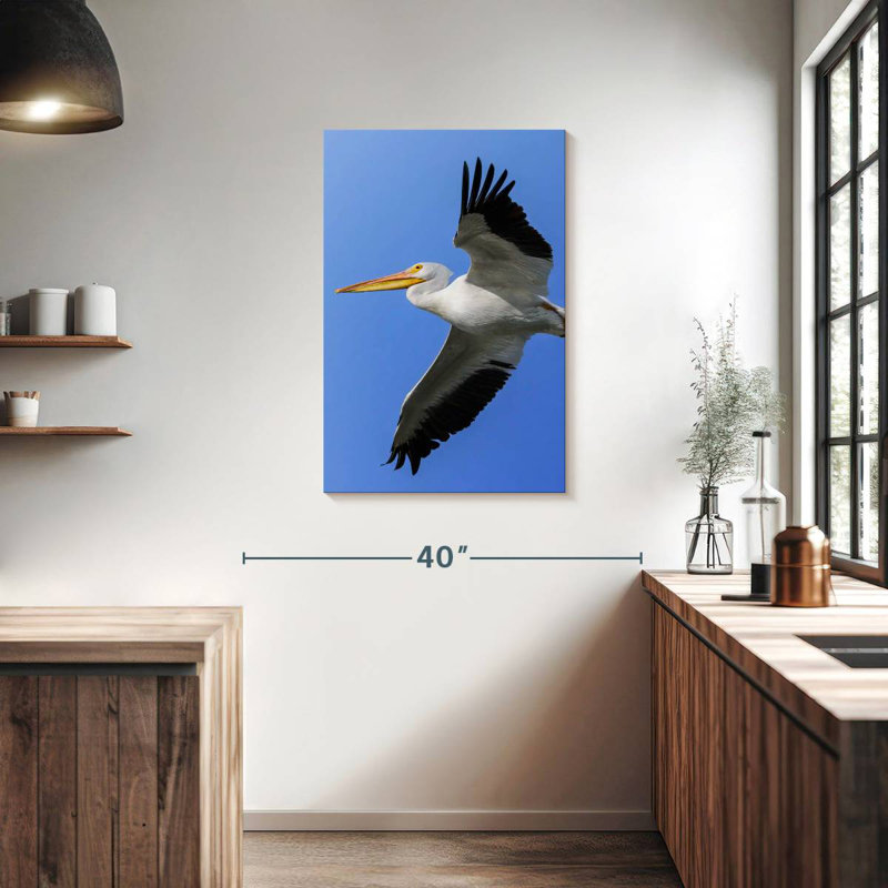 Brampt Pelican In The Sky, 36" H x 24" W
