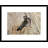 « comestible-nest swiftlet on nest », reproduction de photo encadrée-21069051
