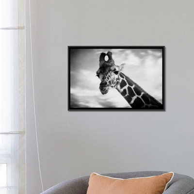 " Giraffe I " Black and White Photography