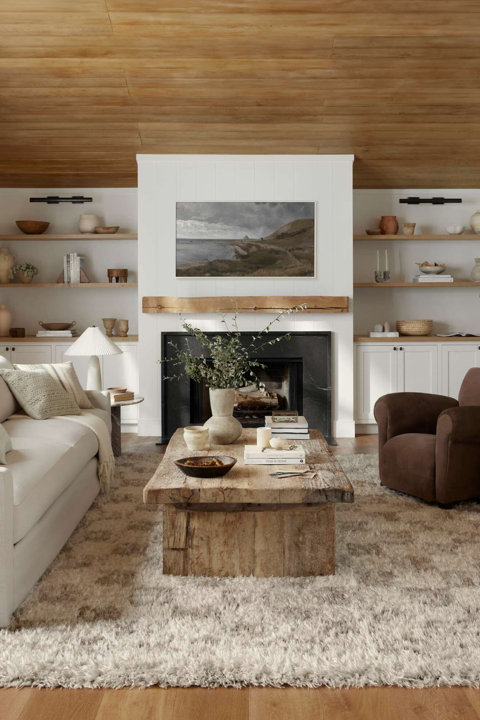 The Amira Collection