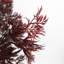 120cm Aralia Plant