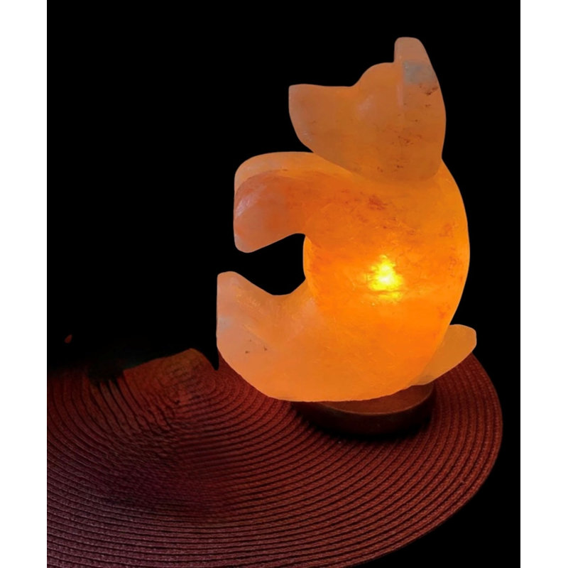 Lampe à sel 7 lb Schutz Bear