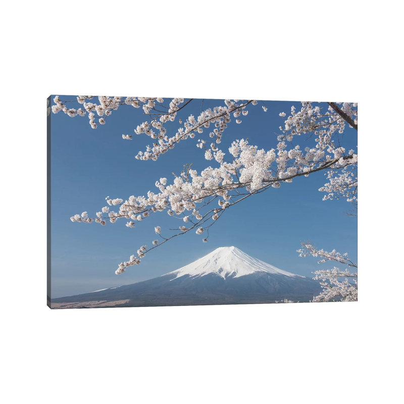 Spring In Japan XXVII by Daniel Kordan - Wrapped Canvas Print, 20.32 cm H x 30.48 cm W
