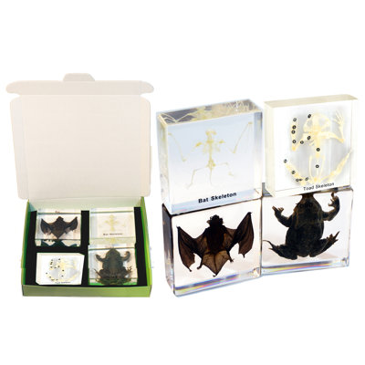 Rael Animals Figurines & Sculptures