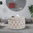 Amram Tufted Round Storage Ottoman-1305922471
