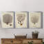 Esper Sea Fans I - ensemble de 3 peintures sur toile encadrées-265464113-265464117