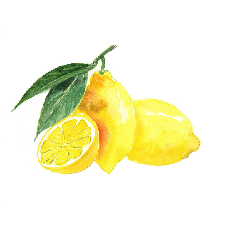" Citrus 4 ", 36" H x 48" W  