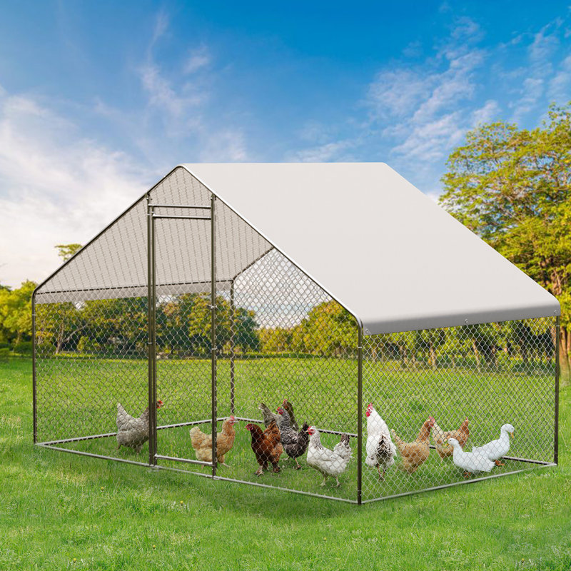5.85m² Chicken Coop