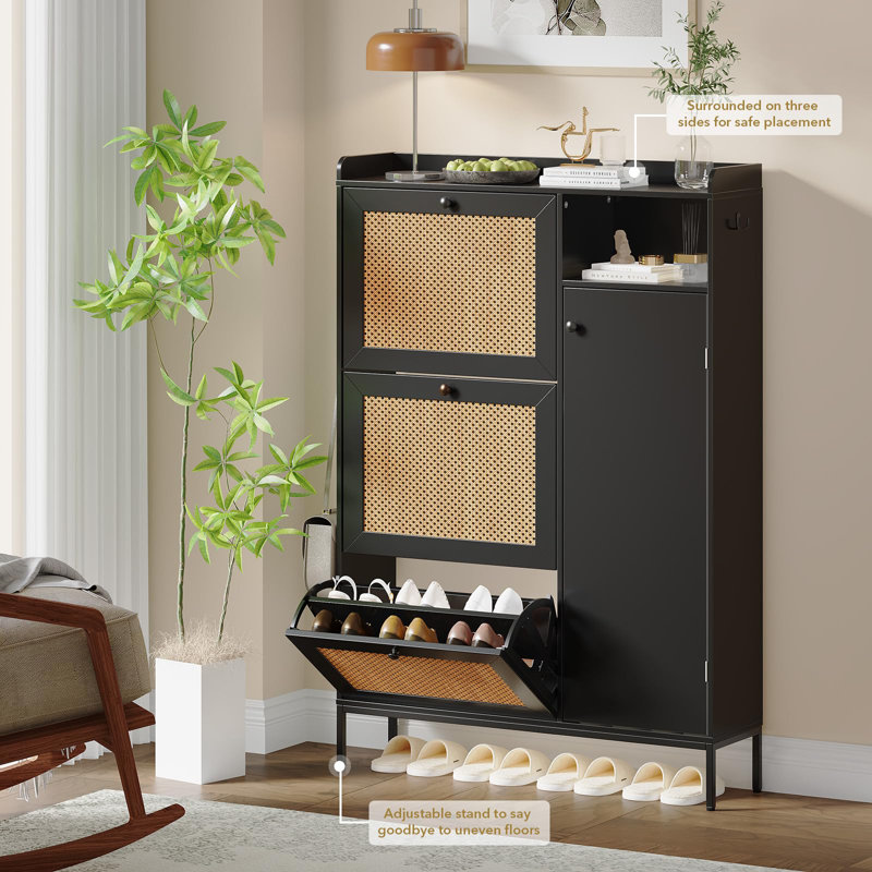 Dashae 28 Pair Shoe Storage Cabinet, Black Duplicate