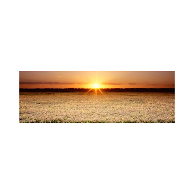 Rice Field, Sacramento Valley, California, USA by Panoramic Images - Wrapped Canvas Panoramic Print, 182.88 cm H x 60.96 cm W