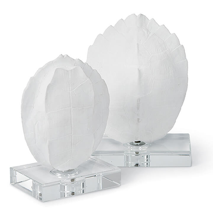 Turtle Shells On Crystal (Set of 2)