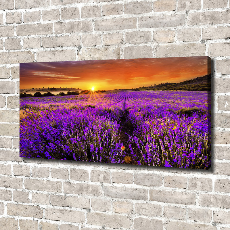 Lavender Field - No Frame Print on Canvas
