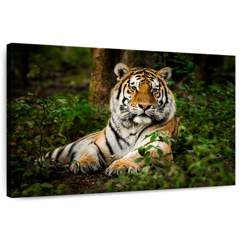 Brampt Mighty Tiger, 8" H x 12" W