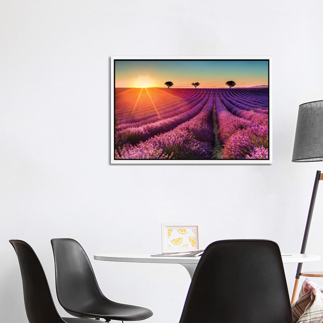 Plateau De Valensole Lavendelfeld Sonnenuntergang II von Susanne Kremer - Galerie-verpackte Leinwand Giclée