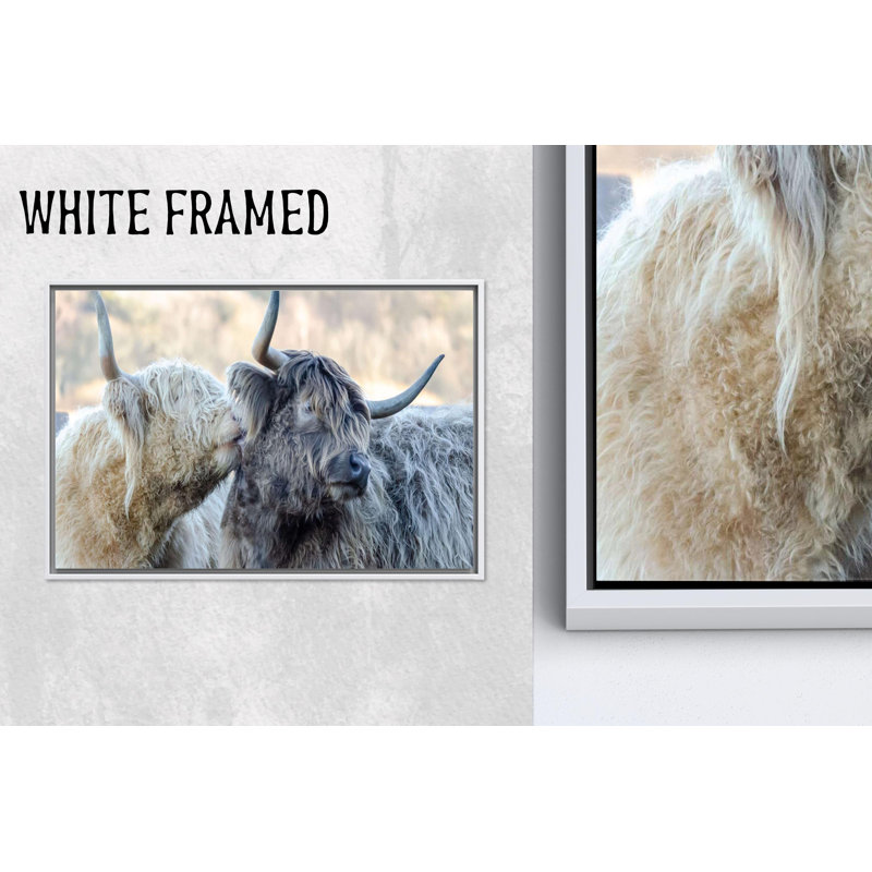 «Highland Cow», reproduction d'art sur toile rustique, 1P, H : 63,1 x L : 114,2 pouces