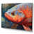 Wrapped Canvas