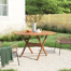 Alyisa Eucalyptus Outdoor Folding Dining Table