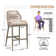 Iemanja Aluminum Outdoor 28.5'' Bar Stool with Cushion