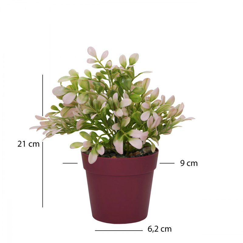 Pot décoratif Cisneros, Mauve