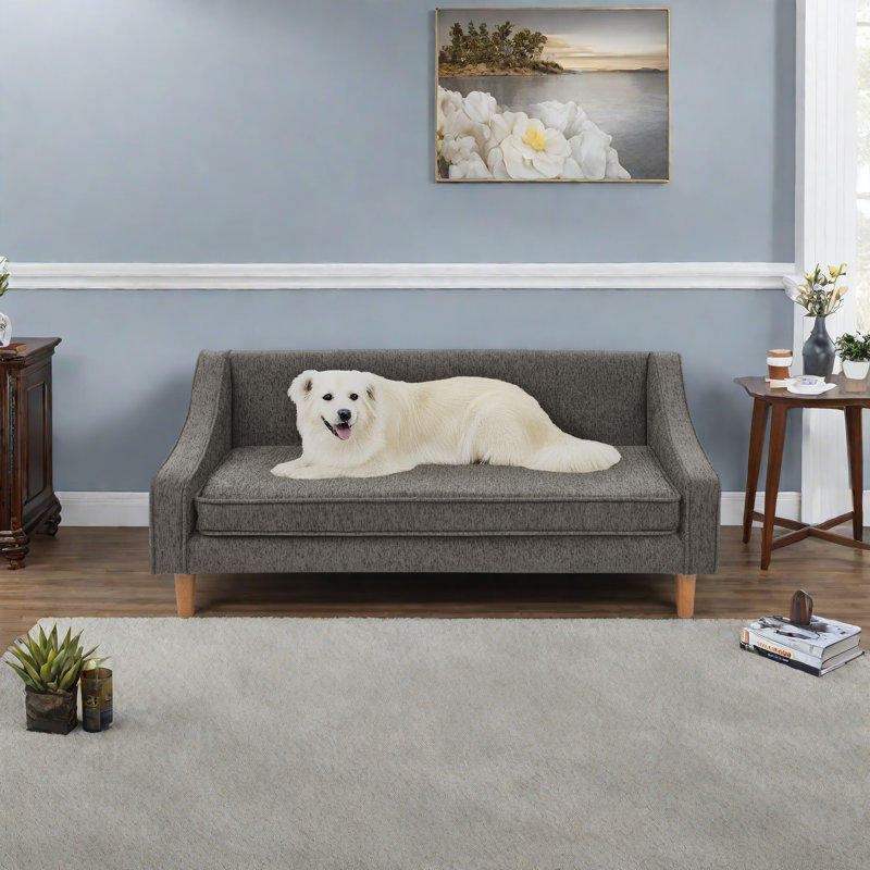 Canapé-lit surélevé durable pour chien, canapé pour animaux avec conception d'accoudoirs irrégulière moderne, Gris foncé