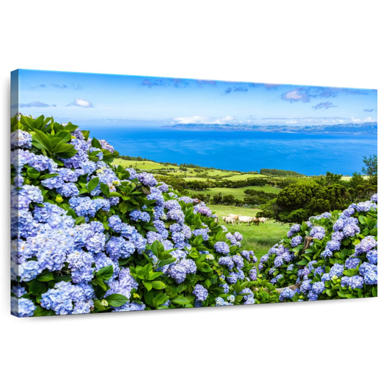 Harnek Madalena Valley Hydrangeas, 16" H x 24" W