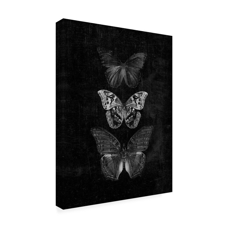 Animaux, trois papillons sur fond noir, reproduction originale, H 19 po x l 14 po x P 2 po