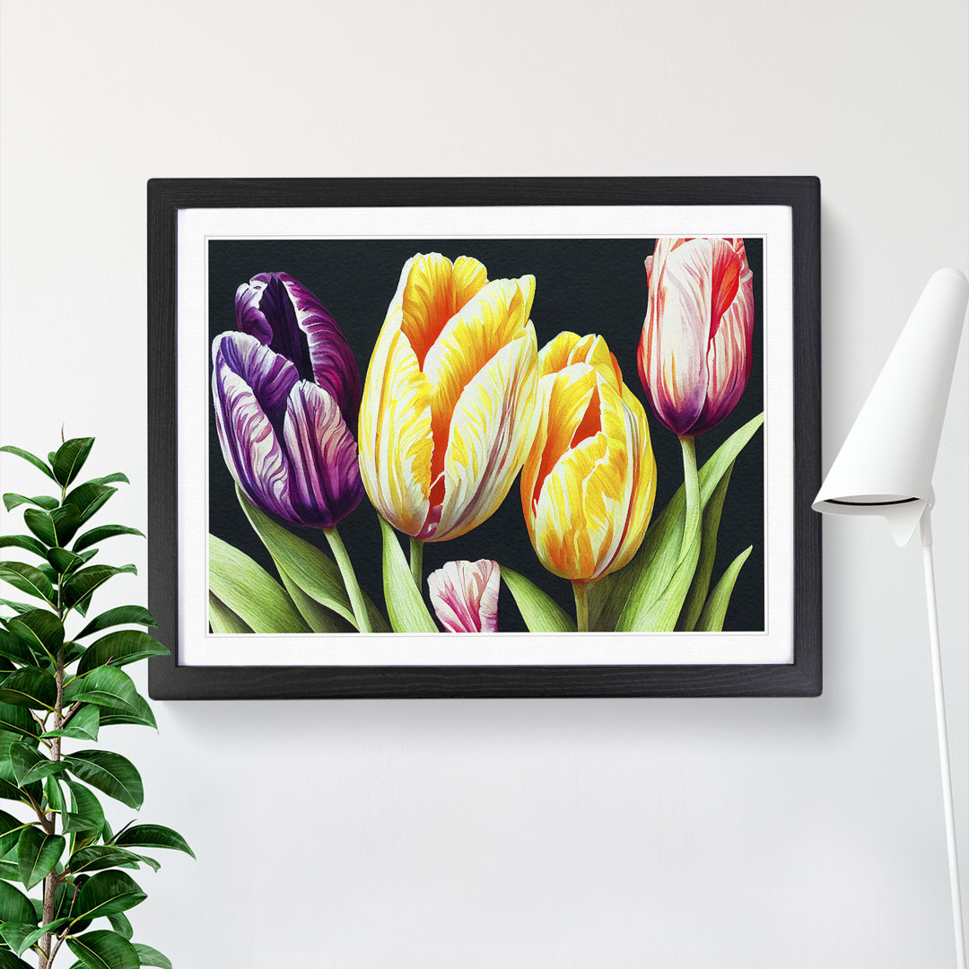 Pleasant Tulip Flowers - Single Picture Frame Print