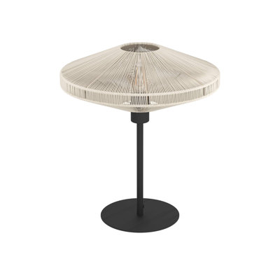 Amhold Steel Novelty Lamp