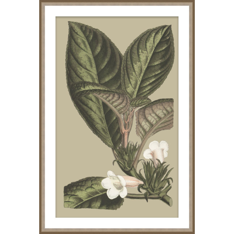 Botanical Jungle 3 Print, 43.75" H x 26.75" W