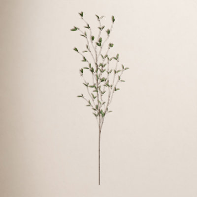 Foliage Arrangement