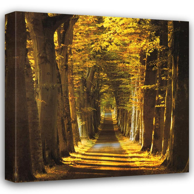 Avenue bordée d'arbres, H 20 po x l 20 po