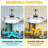 Lenzini 42'' Ceiling Fan with LED Lights