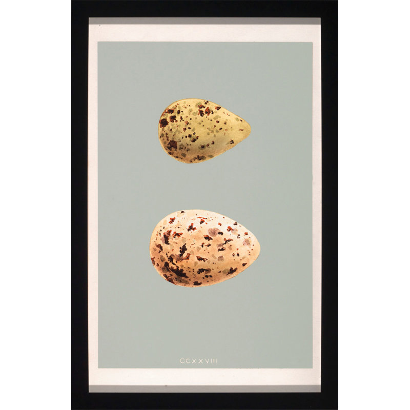 Classic Egg Study 5 - Cadre photo, impression sur papier