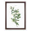 Green Olive Tree by Pierre-Joseph Redoute - Framed Print-55609018-55609021